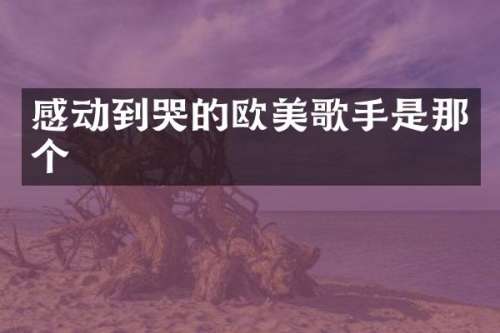 感动到哭的欧美歌手是那个