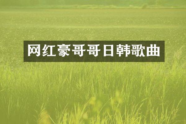 网红豪韩歌曲