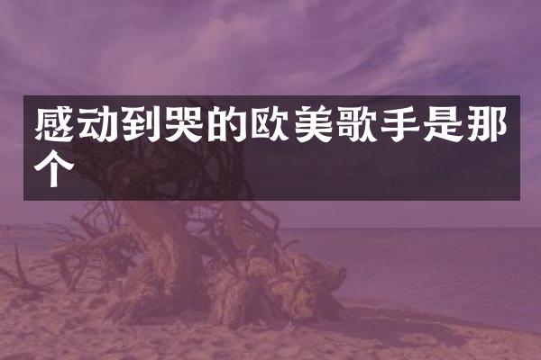感动到哭的欧美歌手是那个