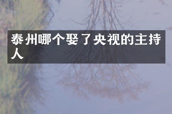 泰州哪个娶了央视的主持人