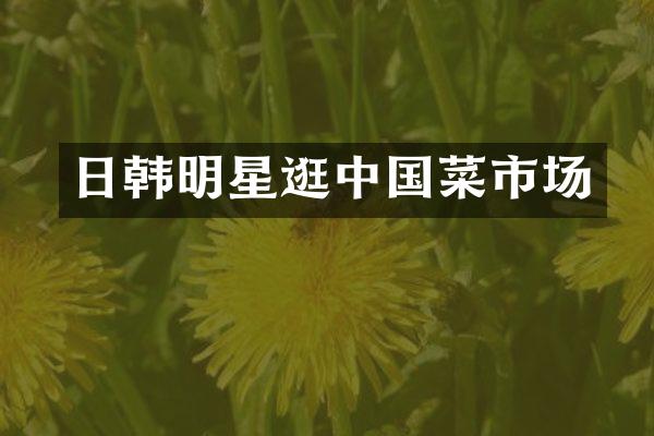 日韩明星逛中国菜市场