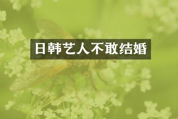 日韩艺人不敢结婚