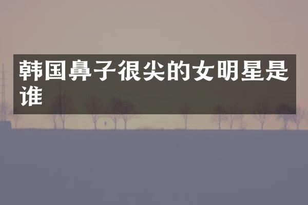 韩国鼻子很尖的女明星是谁