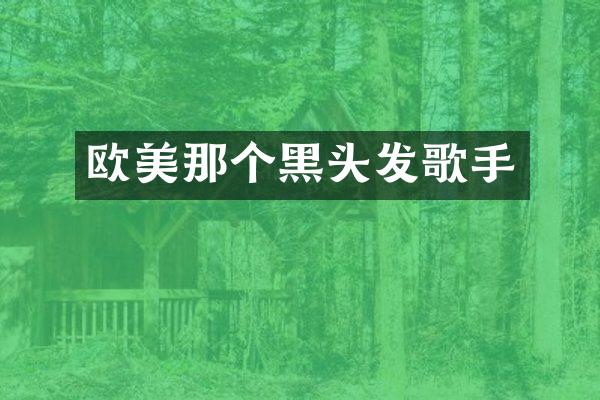 欧美那个黑头发歌手