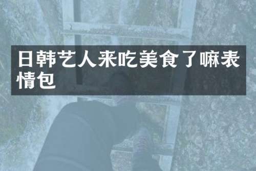 日韩艺人来吃美食了嘛表情包