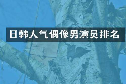 日韩人气偶像男演员排名