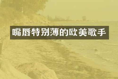 嘴唇特别薄的欧美歌手
