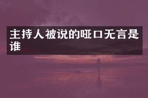 主持人被说的哑口无言是谁