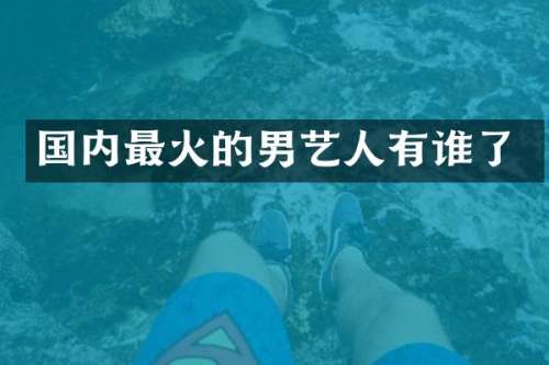 国内最火的男艺人有谁了