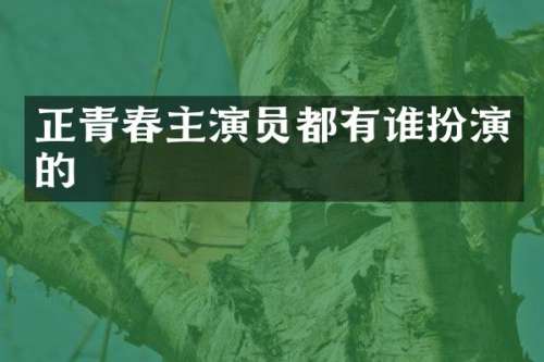 正青春主演员都有谁扮演的