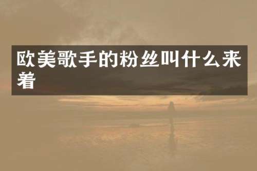 欧美歌手的粉丝叫什么来着