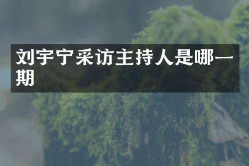 刘宇宁采访主持人是哪一期