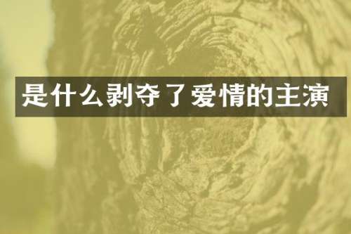 是什么剥夺了爱情的主演
