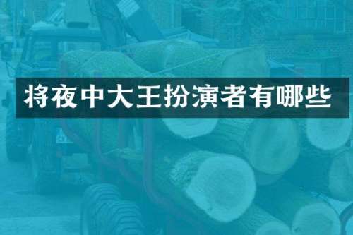 将夜中大王扮演者有哪些