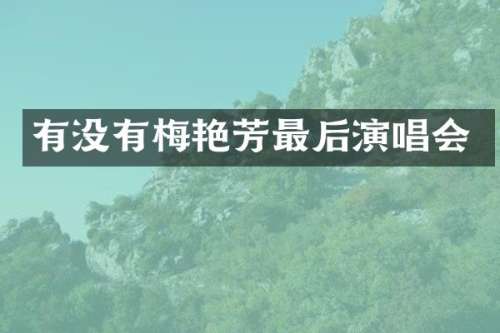 有没有梅艳芳最后演唱会