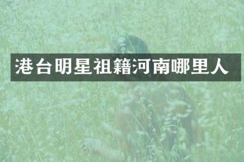 港台明星祖籍河南哪里人