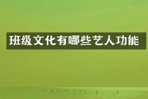 班级文化有哪些艺人功能
