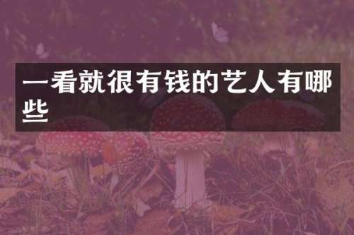 一看就很有钱的艺人有哪些