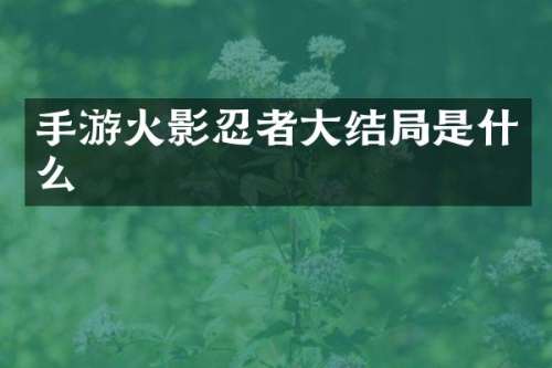 手游火影忍者大结局是什么