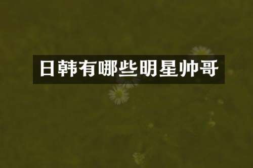 日韩有哪些明星帅哥