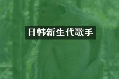 日韩新生代歌手