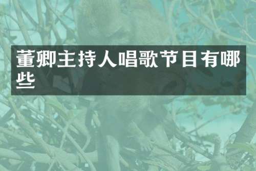 董卿主持人唱歌节目有哪些