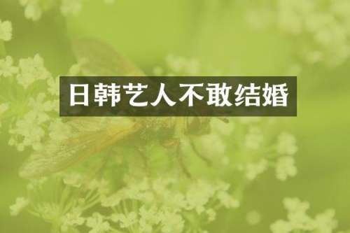 日韩艺人不敢结婚