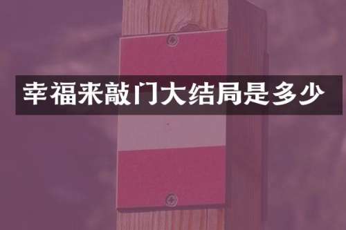 幸福来敲门大结局是多少