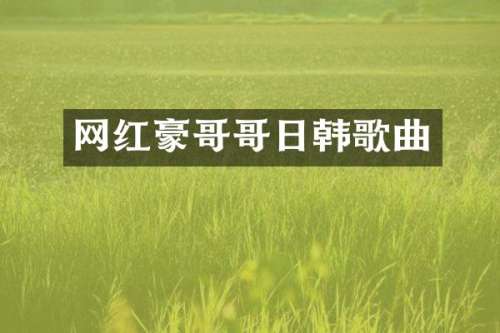 网红豪韩歌曲