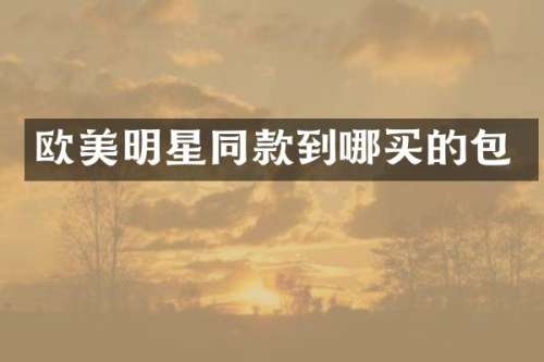 欧美明星同款到哪买的包