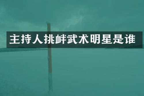 主持人挑衅武术明星是谁