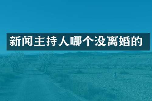 新闻主持人哪个没离婚的