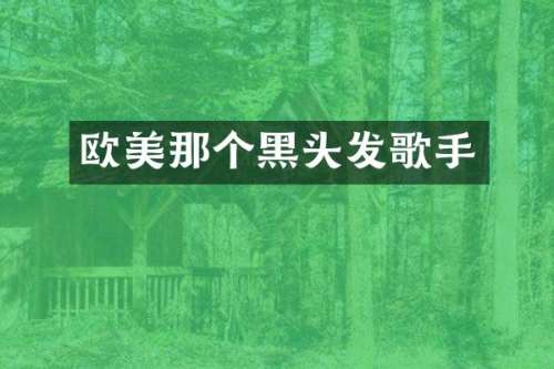 欧美那个黑头发歌手