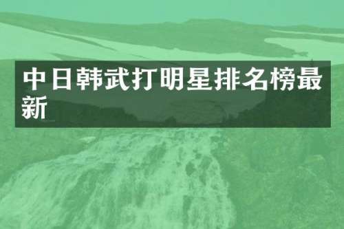 中日韩武打明星排名榜最新