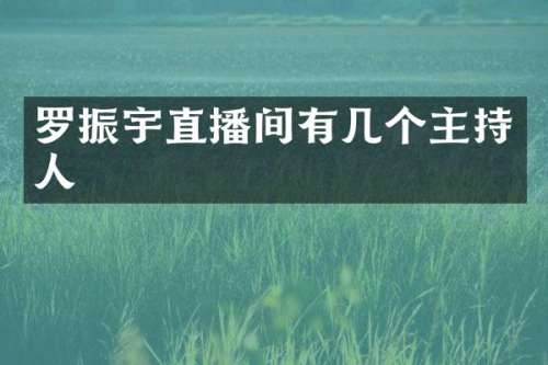 罗振宇直播间有几个主持人