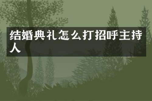结婚典礼怎么打招呼主持人