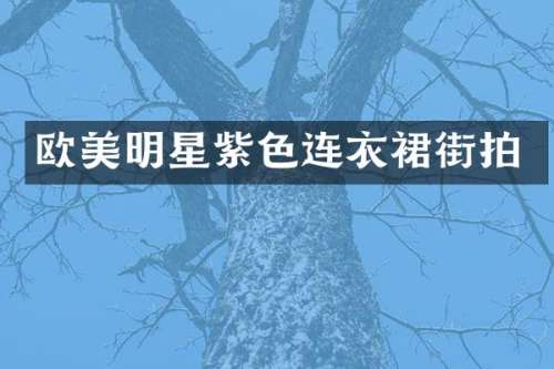 欧美明星紫色连衣裙街拍