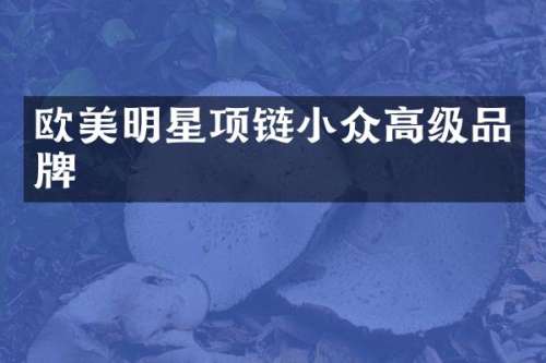 欧美明星项链小众高级品牌