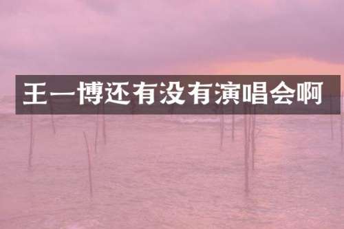 王一博还有没有演唱会啊