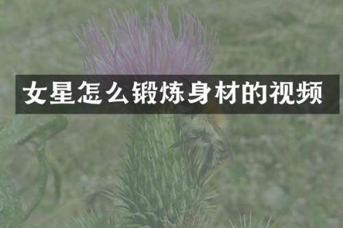 女星怎么锻炼身材的视频