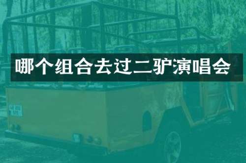 哪个组合去过演唱会