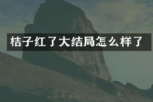 桔子红了大结局怎么样了