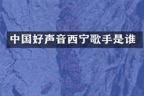 中国好声音西宁歌手是谁