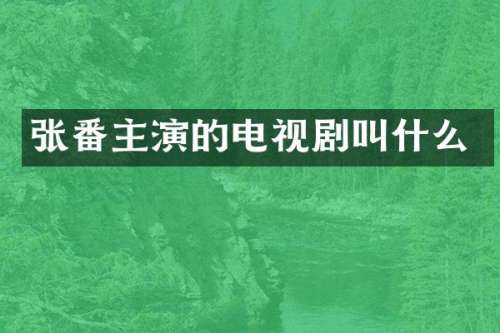 张番主演的电视剧叫什么