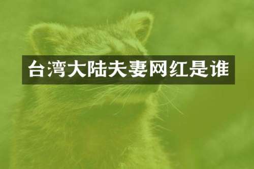 台湾大陆夫妻网红是谁