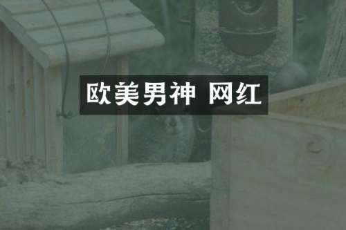 欧美男神 网红