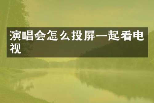 演唱会怎么投屏一起看电视