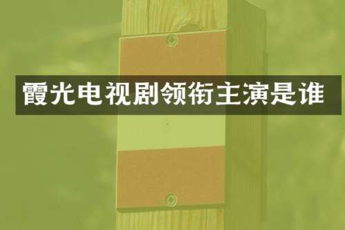霞光电视剧领衔主演是谁