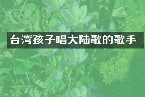 台湾孩子唱大陆歌的歌手