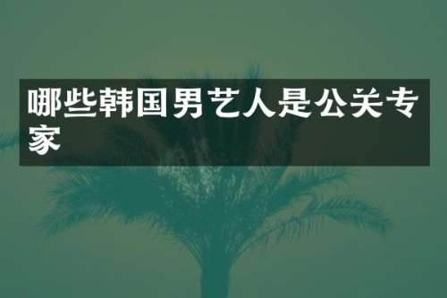 哪些韩国男艺人是公关专家
